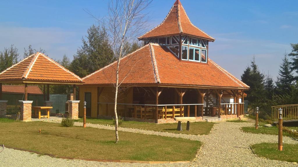 Pensiunea Casa Luanna Dragus Ngoại thất bức ảnh